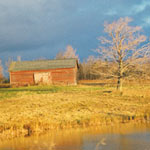 David McCabe Landscapes