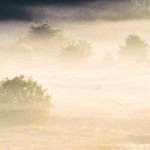 David McCabe Landscapes