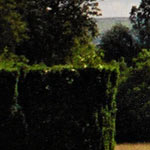 David McCabe Landscapes