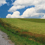 David McCabe Landscapes